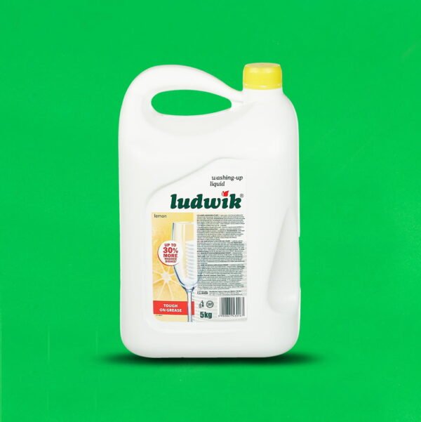 El Ludwik detergent vase LEMON 5L