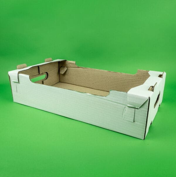 ladite transport carton alb 1 9